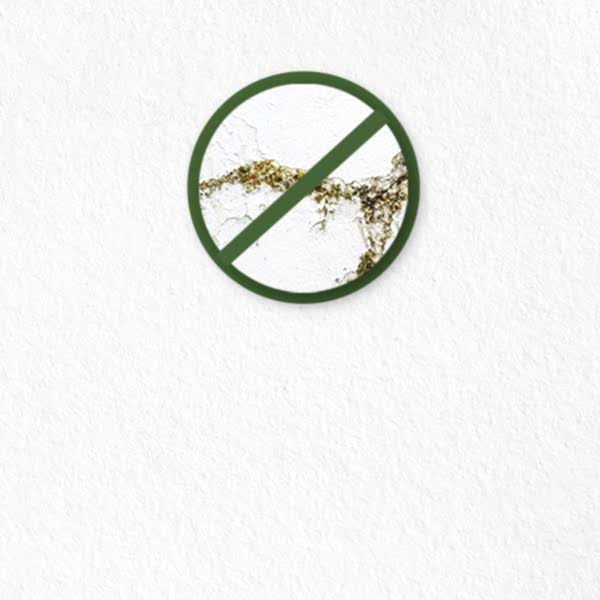 İç Cephe Yüzey Koruyucular