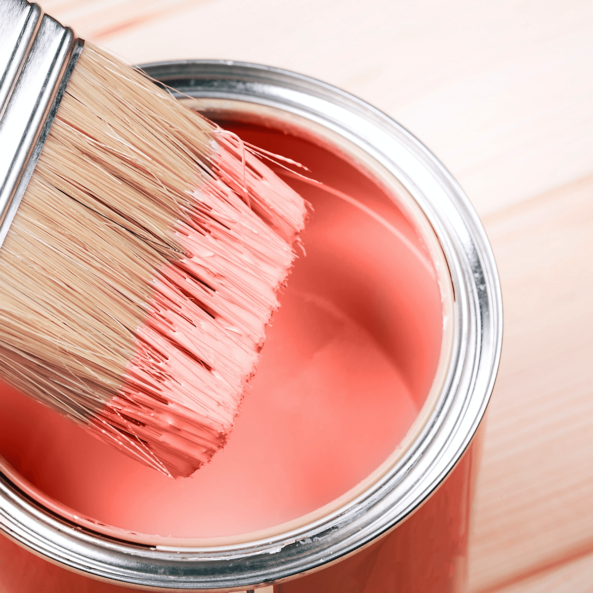 Fırça Ürün Grubu